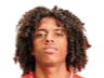 https://img.orkideenn.com/img/football/player/135ad8787fd13961a93e165e79e736ff.png